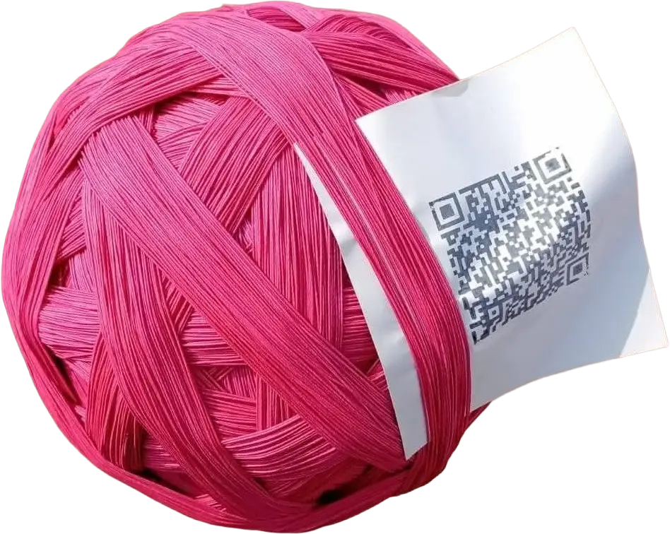 Government Certified QR Dor Pinna