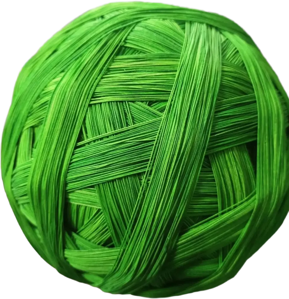 Special Green Festival Dor Pinna